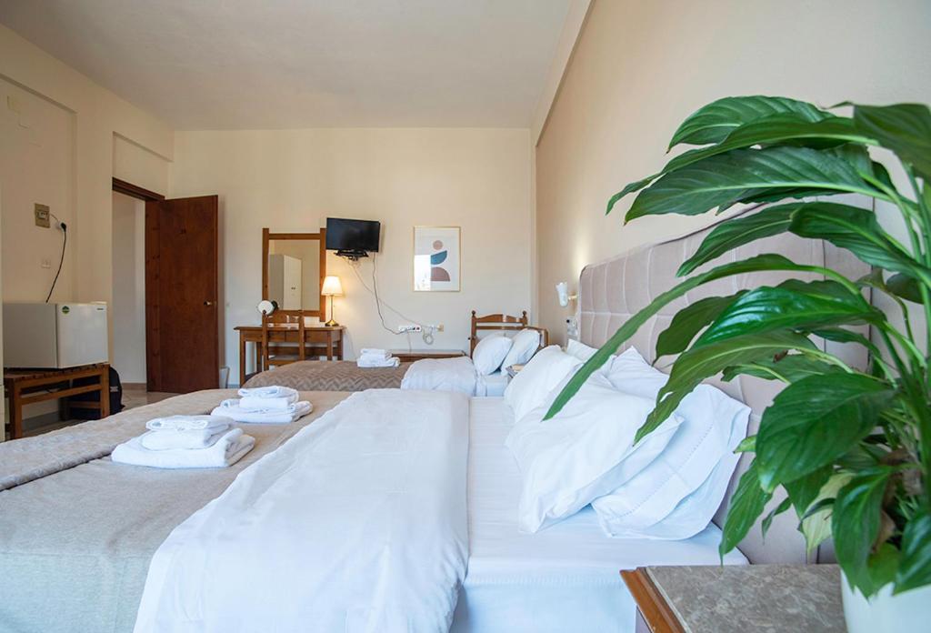 Hotel Koukonas Galaxídhion Zewnętrze zdjęcie